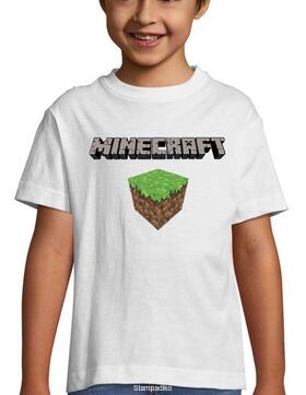 Μπλούζα t-shirt Minecraft