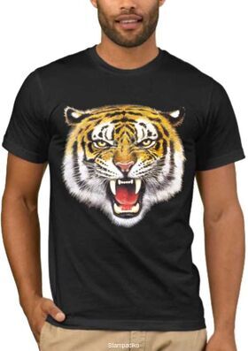 Μπλούζα t-shirt Wild Tiger